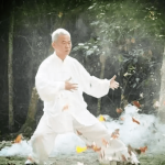 qigong vs tai chi