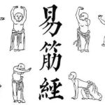 The Most Complete 12 Yijinjing Exercises Tutorial And GIF