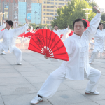 tai chi fan