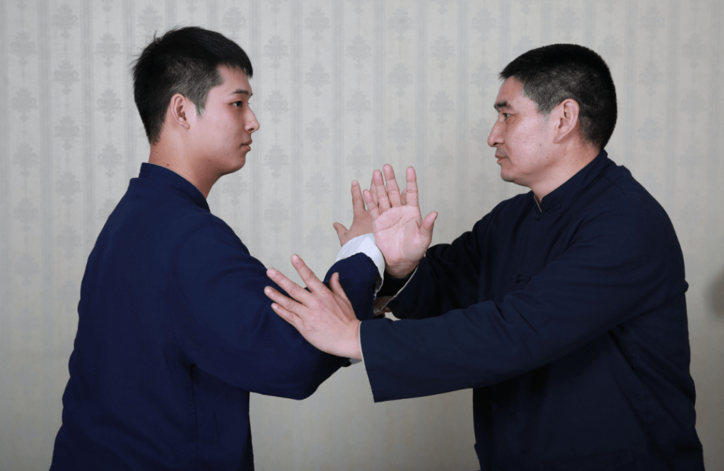 Push Hands Tai Chi