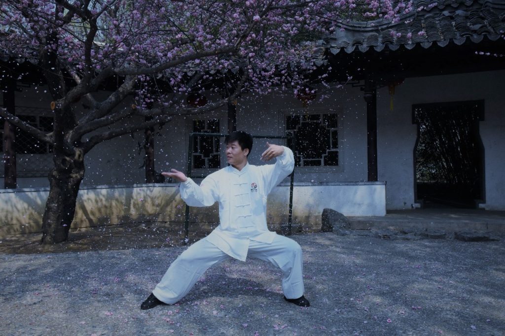 tai chi Martial Arts