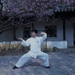 tai chi Martial Arts