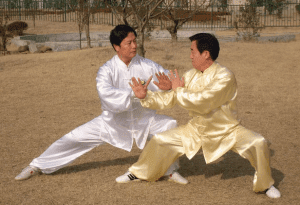 Is Tai Chi Good For Self-Defense Combat techniques