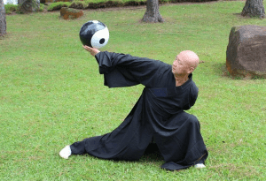 tai chi ball