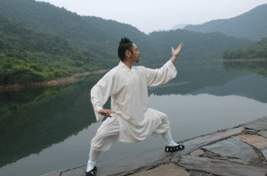 wu dang tai chi