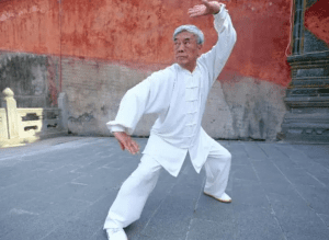 wu tai chi style