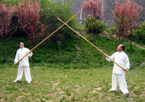 Вершина 5 Popular Tai Chi Chuan Weapeon